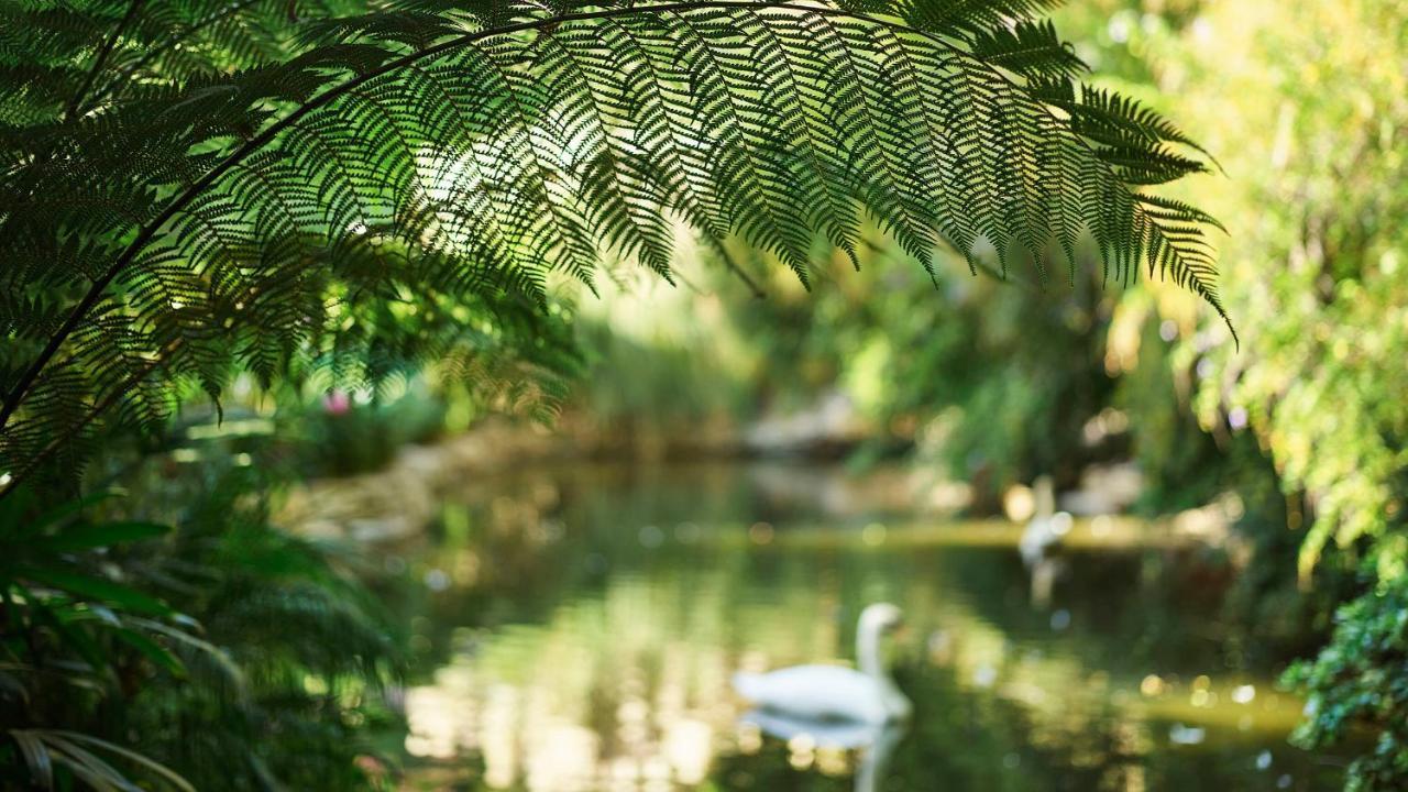 Hotel Bel-Air - Dorchester Collection Los Angeles Esterno foto