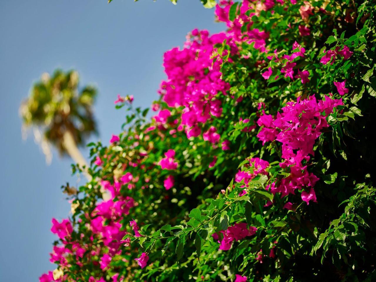 Hotel Bel-Air - Dorchester Collection Los Angeles Esterno foto